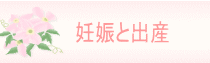 妊娠と避妊と中絶.gif